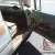 1955 Chevrolet Bel Air/150/210 Bel Air