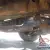 1955 Chevrolet Bel Air/150/210 Bel Air