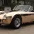 Kirkham 289 BRONZE cobra