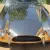 Kirkham 289 BRONZE cobra