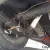 1953 Chevrolet Bel Air/150/210 Hot Rod,Chevy,Bel Air,Custom,Classic