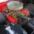 Mercury : Other Hardtop