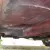 1966 AUSTIN HEALEY 3000 BJ8 MARK III.  EXCELLENT COND. SOLID