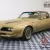 1978 Pontiac Trans Am SOLAR GOLD T-TOPS FACTORY A/C WINDOW STICKER