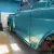 1955 Chevrolet Other Pickups