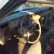Lincoln : Town Car Signature Series