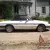1986 Alfa Romeo Spider veloce