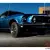 Ford: Mustang Grande