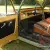 1966 Ford Bronco