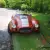1965 Shelby Cobra