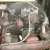 Volkswagen camper van classic no rust, project westfalia