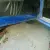 Plymouth : Barracuda