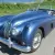 Jaguar : XK Roadster