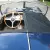 Jaguar : XK Roadster