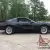 1988 Pontiac Firebird Formula 350