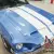 1968 Shelby GT500