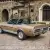 1968 Shelby GT500 --
