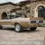 1968 Shelby GT500 --