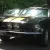 Mustang Shelby GT 350 H Tribute
