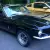 Mustang Shelby GT 350 H Tribute