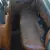 1976 Volvo 264 GL Sedan V6 2.7L Barn find all original drift race restore
