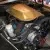 1981 Pontiac Trans Am