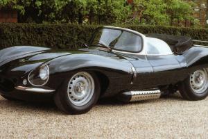 Jaguar D-Type for Sale