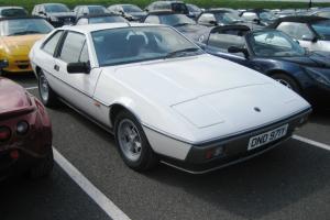 Lotus Excel for Sale