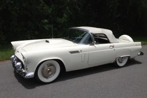 1956 FORD THUNDERBIRD ROADSTER TRIPLE WHITE BEAUTY IN SUNNY TAMPA FLORIDA Photo