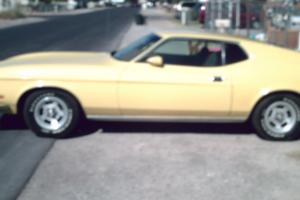 1973 Ford Mustang Fastback Photo