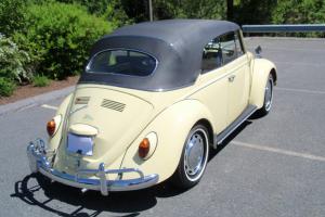 1967 VW Convertible - Owned from New, Like New (Last Great Bug Year!) Photo