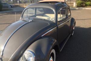 1956 Oval window ragtop beetle!!!just redone....gorgeous!!!! Photo