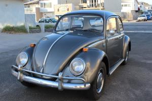 1966 Volkswagen Beetle- Restored Photo