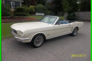 Ford : Mustang RWD Convertible Coupe Photo