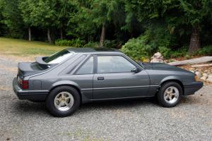 Drag Racer Magazine “War Pony” Project Mustang For Sale