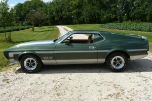 Mustang, 1971 Mustang, Boss, Boss 351, Cougar, Boss 302 Photo