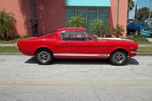 Shelby GT350 Tribute, Fastback, 289 V8, 4 Speed, White Pearl Rally Stripe !!!