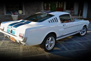 1965 MUSTANG FASTBACK GT 350 TRIBUTE   AWESOME!!!!