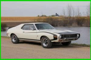 AMC : Other SST Pierre Cardin Special Edition Fastback Coupe Photo