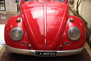 1966 Volkswagen Beetle in Perth, WA Photo