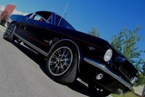 Ford : Mustang @NO RESERVE! Photo