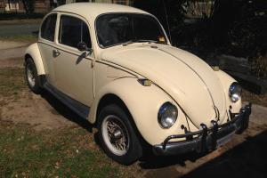 VW Beetle 1969 1500 German Badged With A 1600 Fully Reconditioned Engine in Alexandra Hills, QLD Photo