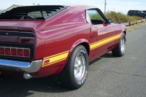 Ford : Mustang Shelby GT 500 Photo