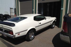 Ford : Mustang MACH ONE Photo