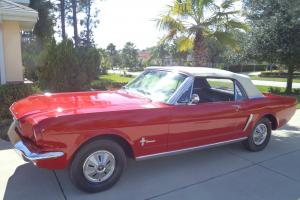 Ford : Mustang Red