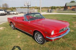 Ford : Mustang Photo