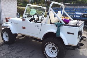 Jeep : Other amc 401 Photo