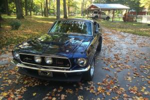 shelby mustang gt 500 for Sale