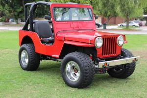 Jeep : Other custom