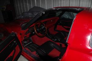 Removable Glass Roof Panels Red Exterior Black / Red L